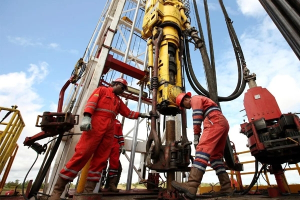 Liderazgo disciplinario para la ejecución de la ingeniería conceptual y básica de proyectos especiales